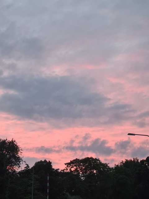 Elsa @iamelsa cover picture