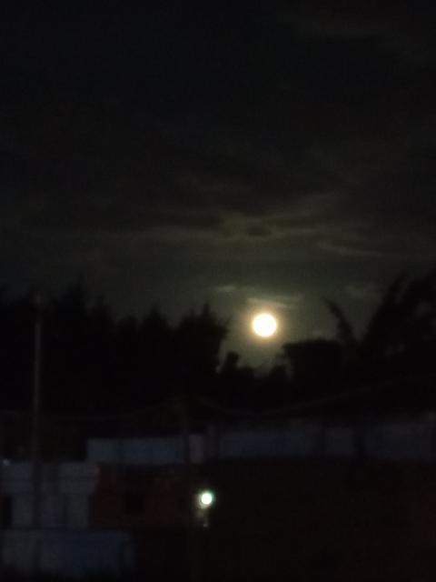 Good Girl @iamgoodgirl cover picture