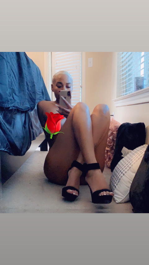 Kay Rose @iamkayrose cover picture