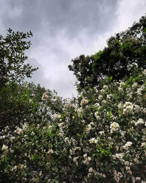 Ianna @iannaa cover picture