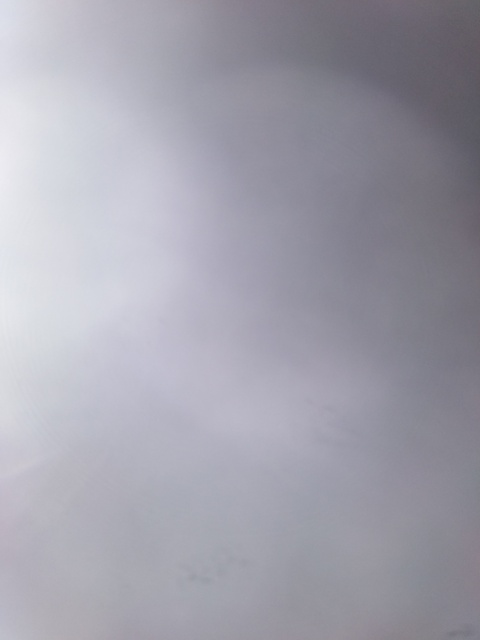 Iara @iaraaa cover picture