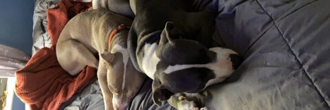 angel @idcitsangell cover picture