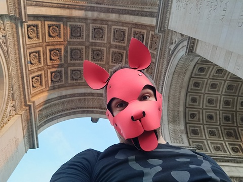 Igy (pup/owner) @igamenir cover picture