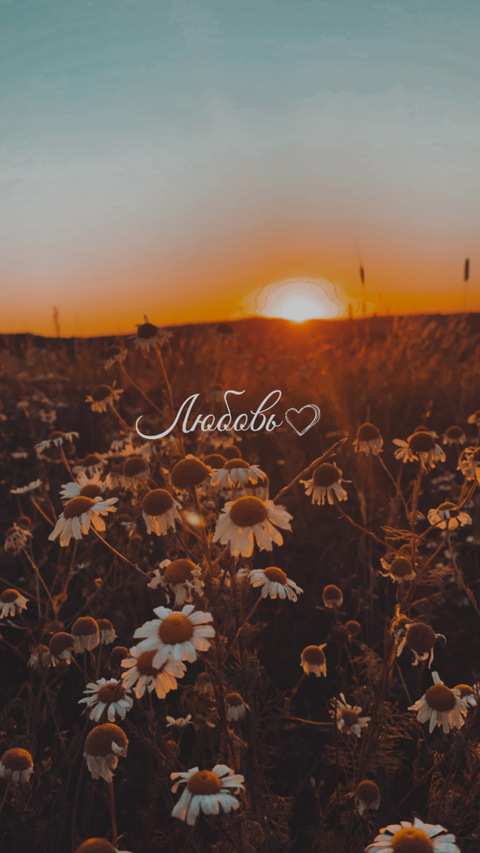 Elle💕 @ih4teelle cover picture