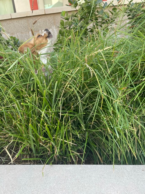 Chocolate Thunder 🍫 @imhereforagoodtimee cover picture