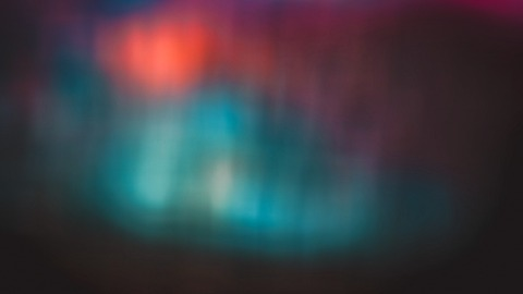 ImTylerCam @imtylercam cover picture