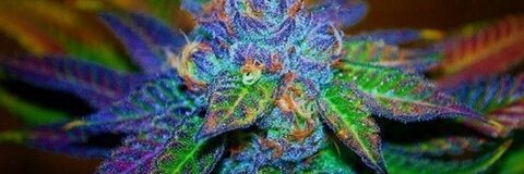 93Love @inkd_up_ez cover picture