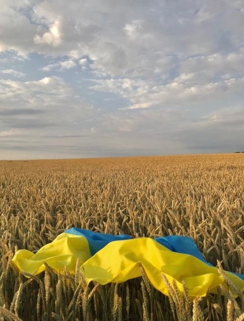 Inna🫧 @inna001 cover picture