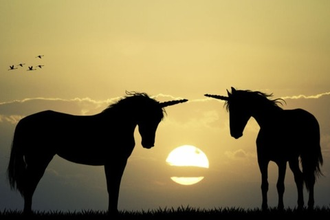 TwinThomas @internetdad cover picture