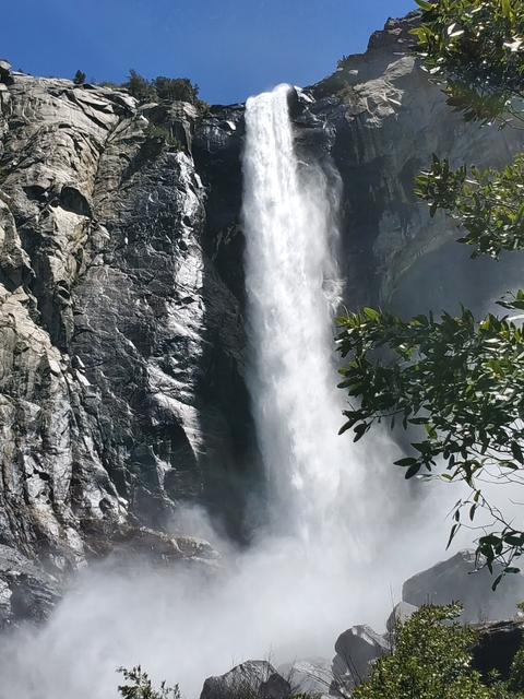 Christopher Steiner @ir0nman69 cover picture