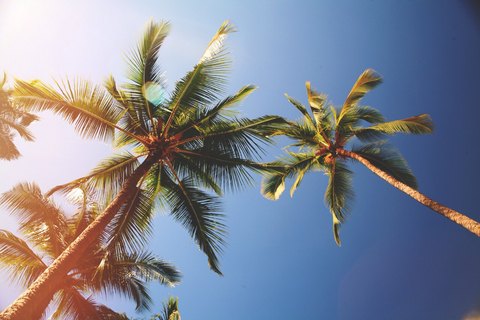 Isaí Silva @isaisilva cover picture