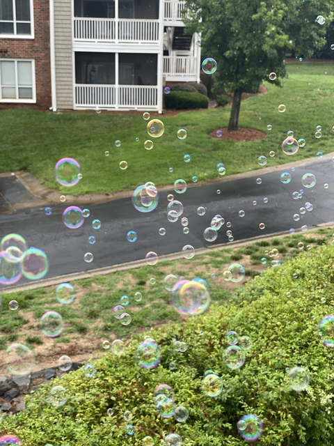 IsisMonroe @isismonroe1031 cover picture