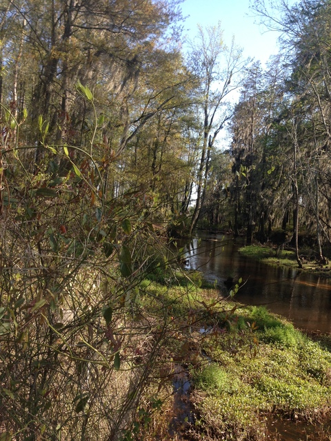 Big J @islandpeachess cover picture