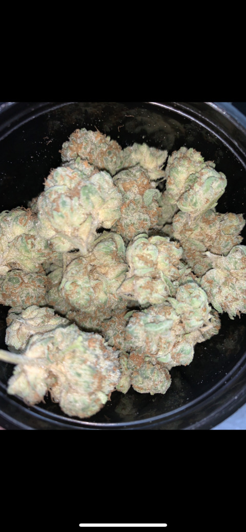 Johnny @italiansausagexl cover picture