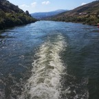 ithere42000p Profile Picture