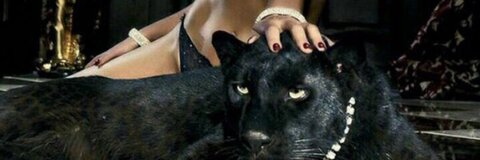 hot girl a @itsdior4u cover picture