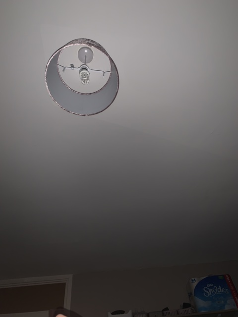 Hayley @itshayleyb cover picture