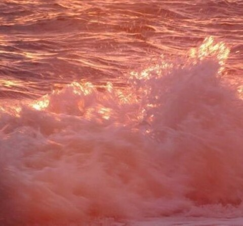 Ivy Lebelle @itsivylebelle cover picture