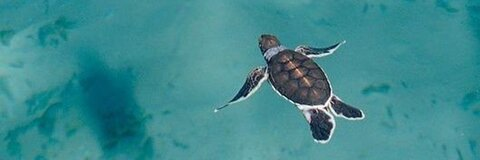 Luisa @itsluchita cover picture