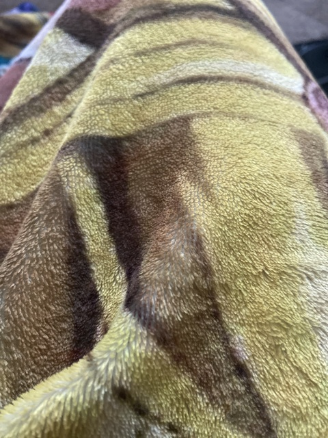 Kingmang @itwide cover picture