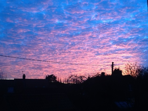 Lucy Smith @itzlucy cover picture