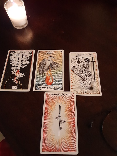 Ivory Godess @ivorygodess cover picture