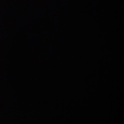 Izzy @izzbizz cover picture