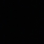 jackofallamelia Profile Picture