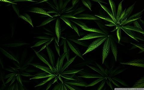 Jade Brooks @jade_brooks01 cover picture