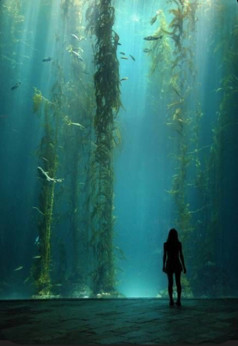 Jade @jadedness cover picture