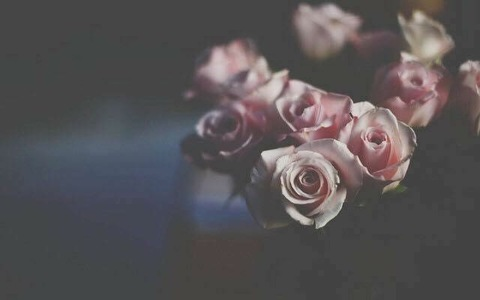 Jade Moon @jademoon cover picture