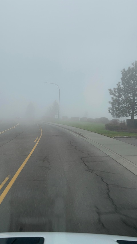 KAPS_15 @jaden69123 cover picture