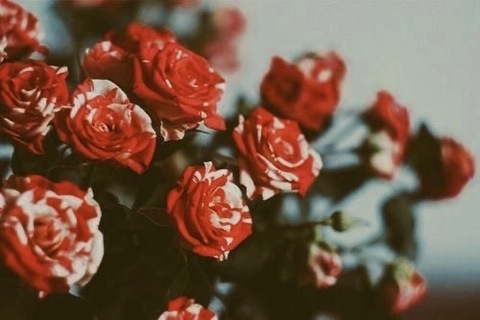 Jade Lilith @jadeuntamed cover picture