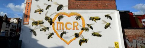 Jade @jadeyyyyyx cover picture