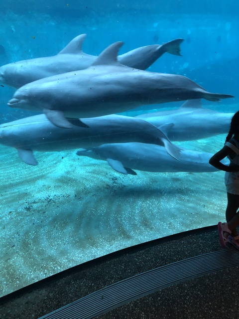 Jleon85 @jairohernandez cover picture