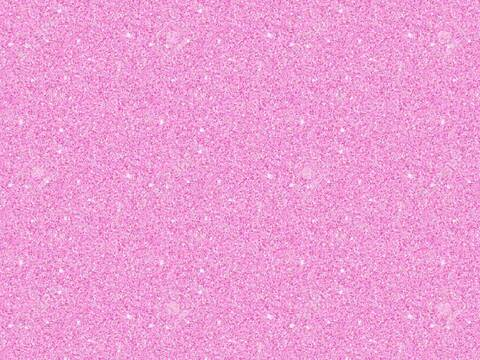 Jamielynn @jammielynn cover picture