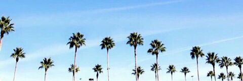 Janelle @janellefit cover picture