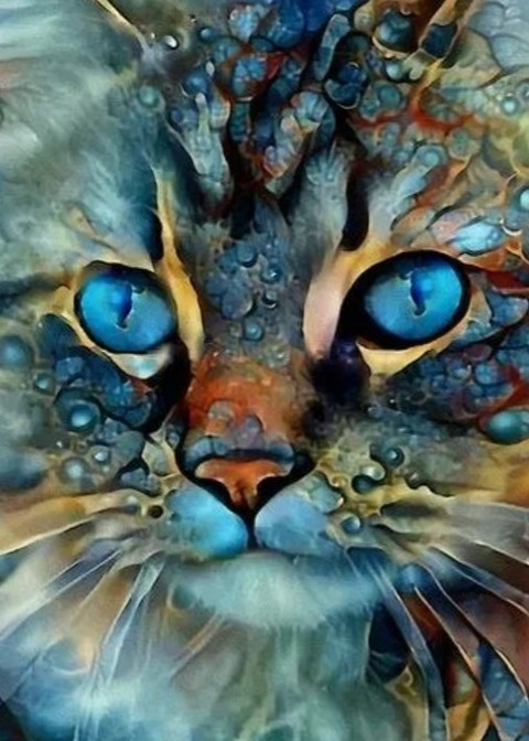 JANEE @janemariee cover picture