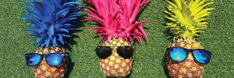 january @january cover picture