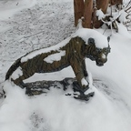 jaycrow Profile Picture