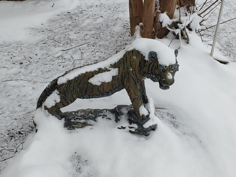 Jay @jaycrow cover picture