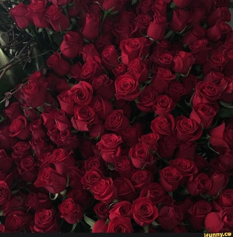 Kat @jaydedwoman cover picture