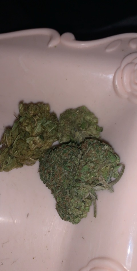 jayhoney @jayhoneeey cover picture