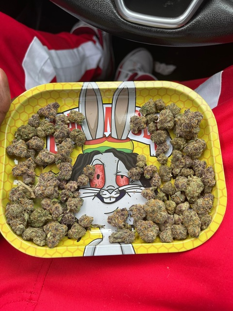 Jay @jayroclaflare cover picture