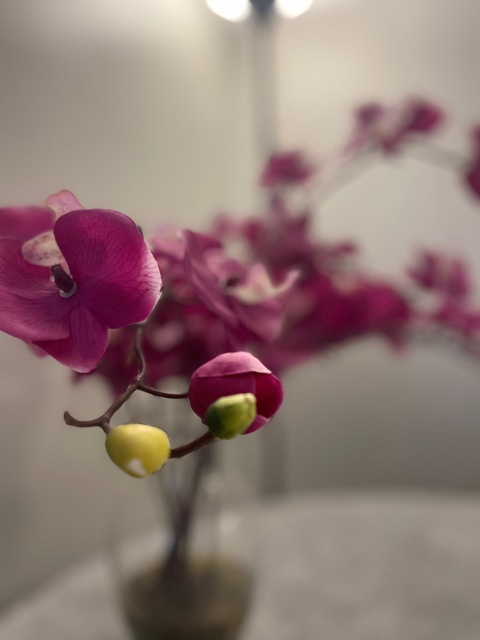 Jay.scored @jayscoredbig cover picture