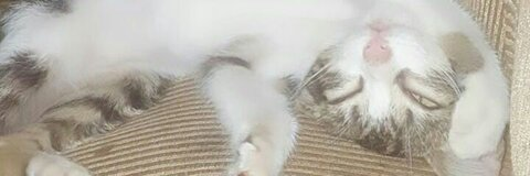 Jeff Vivas @jeffvivas cover picture