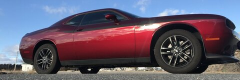 Lola the Showgirl @jennfosta cover picture