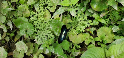 Jennifer Jimenez @jenniferjimenez cover picture