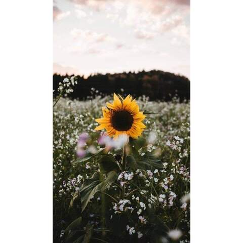 JenniferS @jennifers cover picture