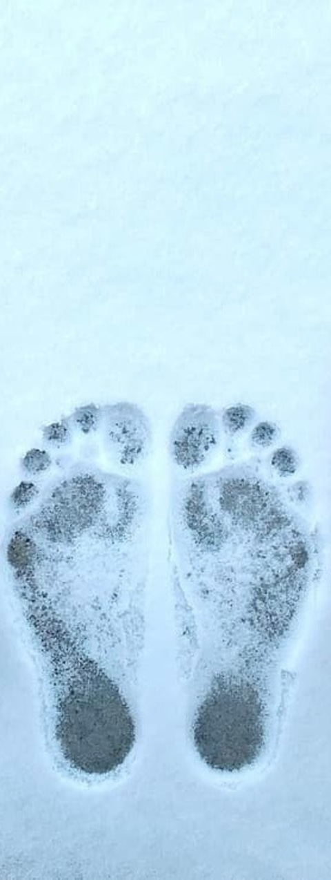 Jenny @jenny-l cover picture